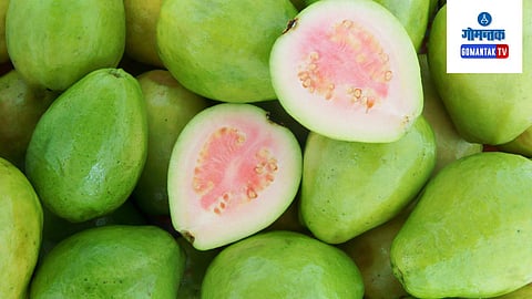 Guava Side Effects