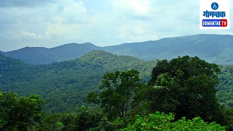 Mhadei Tiger Reserve