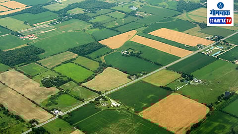 Goa Agriculture Land