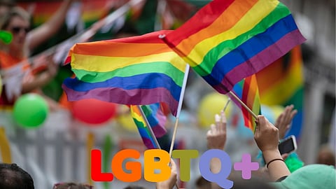 LGBT Movement