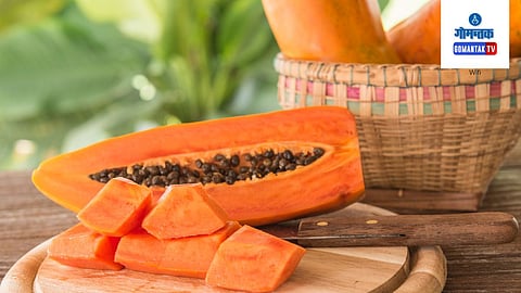 Papaya Leaves For Dengue