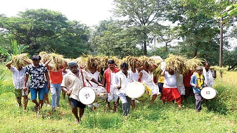 Bicholim Tradition