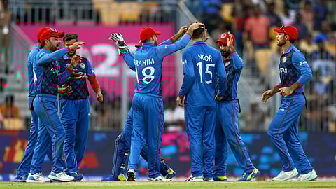 Afghanistan Cricket