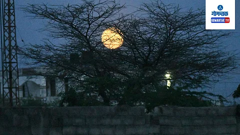 Sharad Purnima 2023