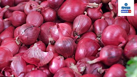 Onion