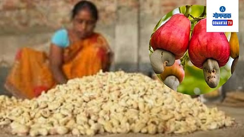 Goan Cashews