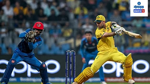 GLENN MAXWELL BROKE MANY RECORDS IN ICC CRICKET WORLD CUP 2023.