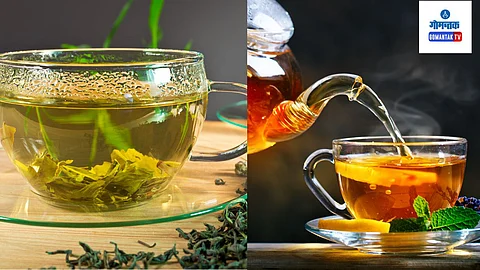 Black Tea OR Green Tea
