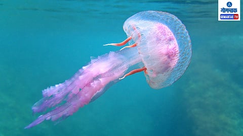 National Games 2023 Goa