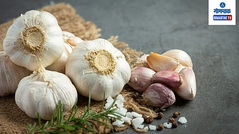 Garlic