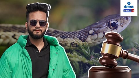 police filed case against Bigg Boss fame elwish yadav