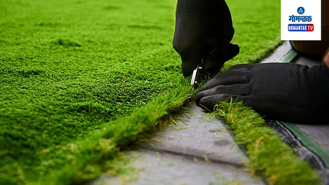 Artificial Grass