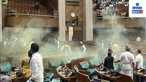 Parliament Security Breach|Smoke Candle