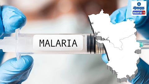 Goa Malaria Cases: धारबांदोडा तालुक्यात डेंग्यू, मलेरिया अथवा चिकुनगुनियाचा एकही रुग्ण मागील सहा महिन्यांत आढळला नाही