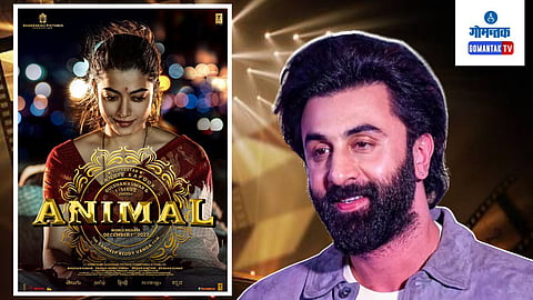 Animal Box Office Collection