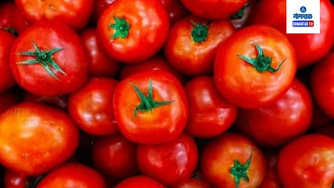 Tomato Rate