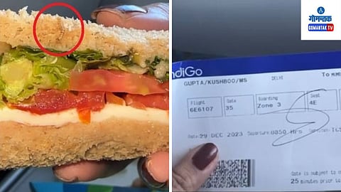 Larvae found in sandwich on Delhi-Mumbai flight, show-cause notice to Indigo.