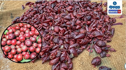 Kokum Benefits: