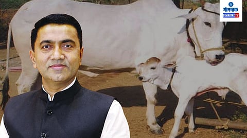 CM Pramod Sawant