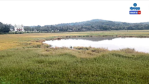 Curtorim Lake