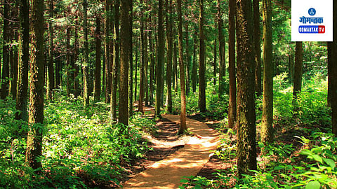 Goa Forest Department