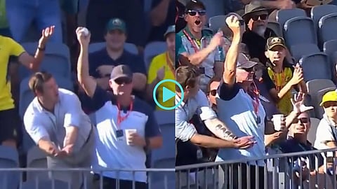 Fan grabs one-handed catch without spilling his drink