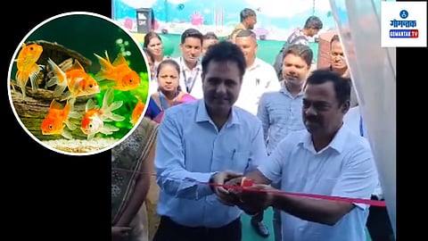 Aqua Goa Mega Fish Festival 2024