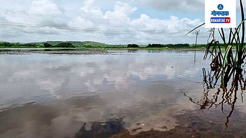 Goa