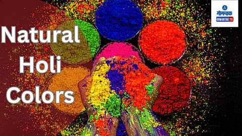 Homemade Holi Colors