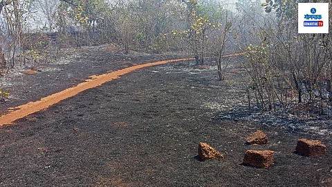 Goa Fire
