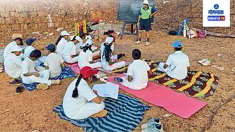 Cricket Training  Camp