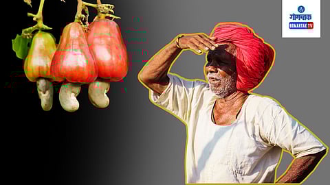Sattari Farmer
