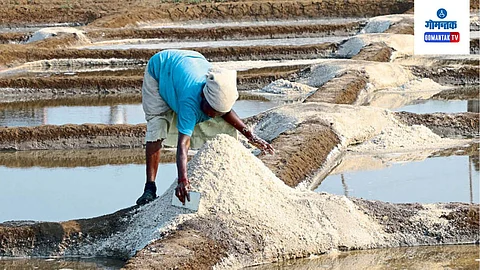 Salt Farming In Goa