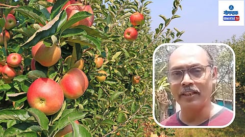 Apple farmer edward mendes