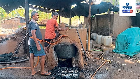 Cashew Production Declined