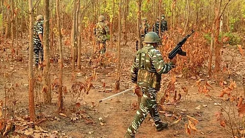 seven naxalites killed
