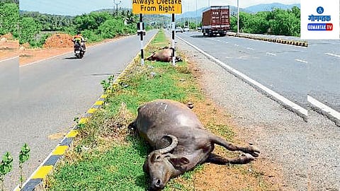 Canacona Accident