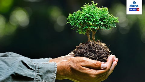 Environmental Awareness