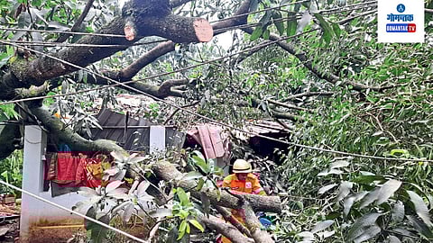 Goa Rain: मये येथे घरावर, तर नार्वे येथे स्वच्छतागृहावर कोसळले मोठे झाड