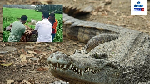 Goa Forest Department: वेळसाव ग्रामस्थांत समाधान