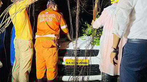 शेकडो वर्षापूर्वीचे झाड कोसळून अपघात,  तीन तासांपासून कारमध्ये अडकली महिला; तिघांना बाहेर काढण्यात यश
