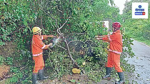 Goa Rain: मुसळधार पावसामुळे काही ठिकाणी झाडांची पडझड होऊन रस्ता वाहतुकीस बंद झाला होता