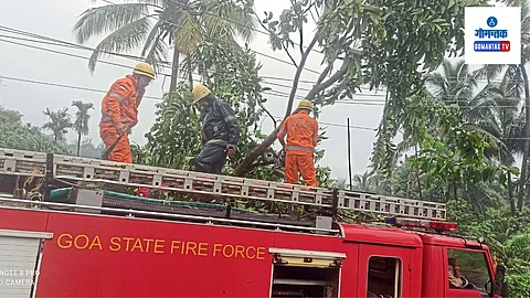 Goa Rain: वीजतारा नसत्या तर झाड घरावर पडून नुकसान होण्याची शक्यता होती.