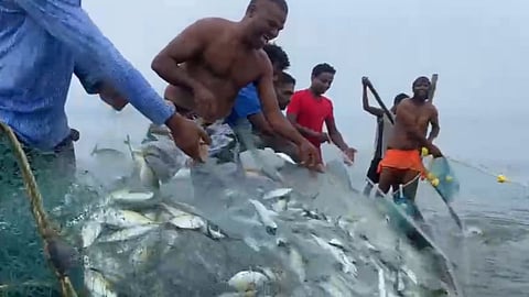 Goa Fishing