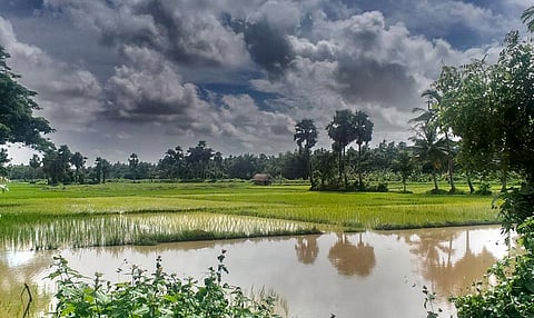 Goa Weather: राज्यात आतापर्यंत सर्वाधिक ४३८३ मिमी म्हणजेच १७२.५९ इंच पावसाची नोंद; ऑगस्टमध्ये जोर मंदावला