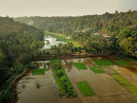 Goa Rain: १९६१ मध्ये सप्टेंबरपर्यंत जवळपास १६० इंच इतक्या पावसाची नोंद झाली होती