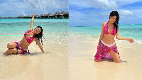 Katrina Kaif Beach Look: कॅटरिनाचा बीचवरील भुरळ पाडणारी अदा; 'दिल तो दिवाना हो गया...'