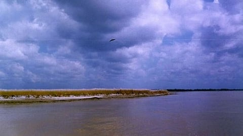 पावसाळ्यात 'ही' नदी आणते हिरे वाहून; शेतकरी रातोरात बनला कोट्यधीश; जाणून घ्या कुठेय नदी?