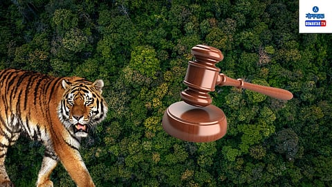 Goa Foundation: वनवासींच्या वनहक्क जमिनींचे दावे निकाली काढण्यात सरकारला अपयश आल्याचा दावा करून गोवा फाऊंडेशनने मुंबई उच्च न्यायालयाच्या गोवा खंडपीठात अवमान याचिका दाखल केली आहे