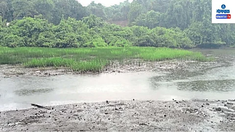 Kolamba Lake Goa: कोळमवाडा येथील दुर्लक्षित ‘तळे’ प्रदूषणाच्या विळख्यात अडकले असून या नैसर्गिक जलस्रोताचा विकास करावा अशी मागणी स्थानिकांतून पुढे येत आहे